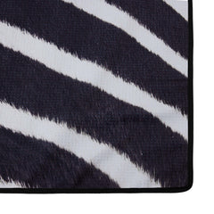 The Zebra thumb 5